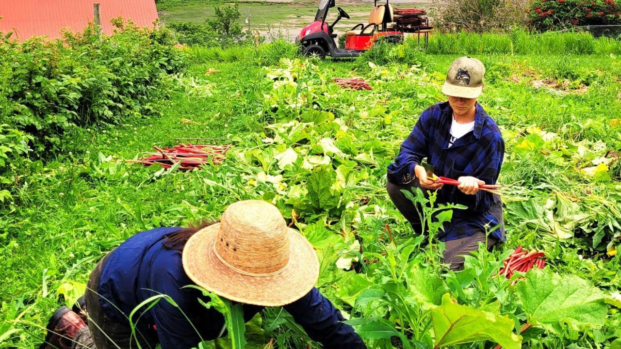 La Vieille Ferme, Ecogite *